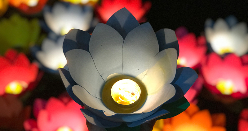 Lễ Vu Lan Tại Chùa Pháp Thanh, Huyện Giồng Trôm, Tỉnh Bến Tre_12-08-2018